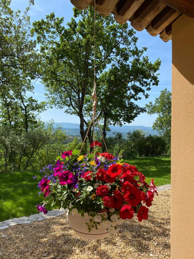 Chante Coucou Saint-Saturnin-les-Apt Εξωτερικό φωτογραφία